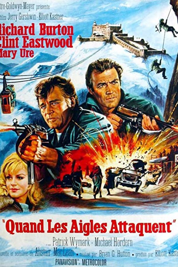 Đột Kích Tổ Đại Bàng